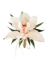 Standard size, 5 inches height and 5 inches wide.