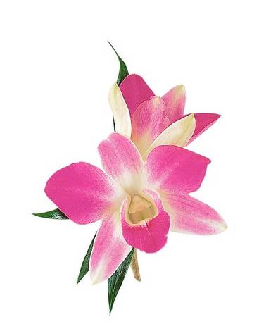 Purple Dendrobium Boutonniere Flower Arrangement