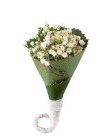 Standard size, 3 inches height and 2 inches wide.