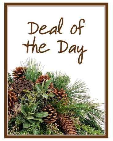 Deal of the Day - Winter Flower Arrangement