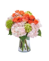 Standard size, 13 inches height and 9 inches wide.