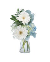 Standard size, 11 inches height and 5 inches wide.