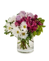 Standard size, 9 inches height and 8 inches wide.