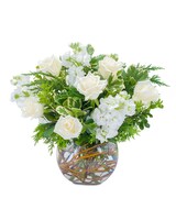Standard size, 10 inches height and 10 inches wide.