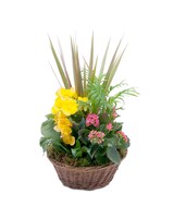 Standard size, 15 inches height and 9 inches wide.