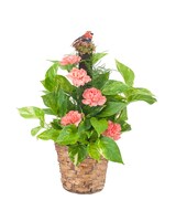 Standard size, 16 inches height and 8 inches wide.
