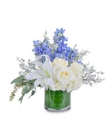 Standard size, 10 inches height and 12 inches wide.