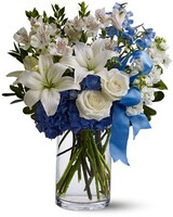 Standard size, 16.5 inches height and 14 inches wide.