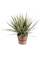 Standard size, 18 inches height and 15 inches wide.