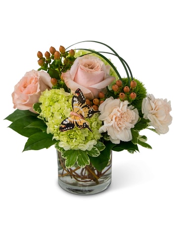 Rancho Sante Fe Florist Flower Delivery By Rosemary Duff Florist