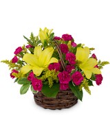 Standard size, 11 inches height and 14 inches wide.