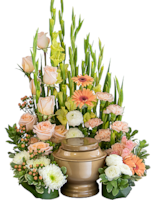 Premium size,  inches height and  inches wide.