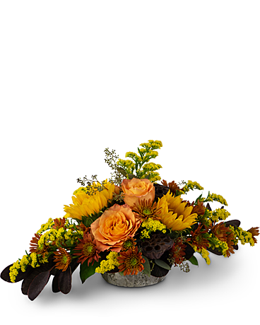 Belmond Florist - Flower Delivery by Andrews Floral