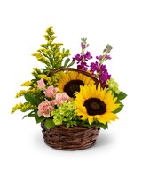 Standard size, 11 inches height and 14 inches wide.