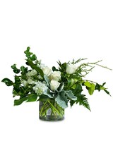Standard size, 12 inches height and 24 inches wide.