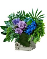 Standard size, 14 inches height and 16 inches wide.