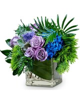 Deluxe size, 14 inches height and 16 inches wide.