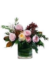Premium (As Shown) size, 15.5 inches height and 20 inches wide.