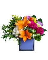 Standard size, 10 inches height and 13 inches wide.