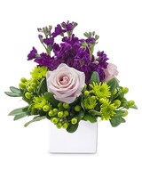 Standard size, 8 inches height and 5 inches wide.