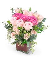 Standard size, 10 inches height and 7 inches wide.