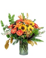Premium size, 21 inches height and 19 inches wide.