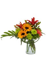 Standard    size, 10 inches height and 10 inches wide.