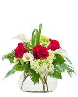 Standard    size, 10 inches height and 10 inches wide.