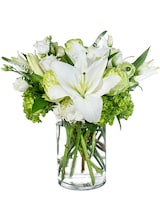 Standard size, 15 inches height and 13 inches wide.
