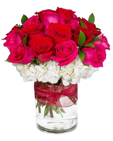 Love and Devotion - Long Stemmed Red Roses