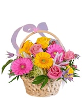 Standard size, 14 inches height and 15 inches wide.