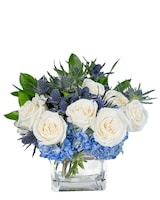 Standard size, 11 inches height and 11 inches wide.