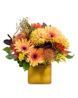 Deluxe size,  inches height and  inches wide.