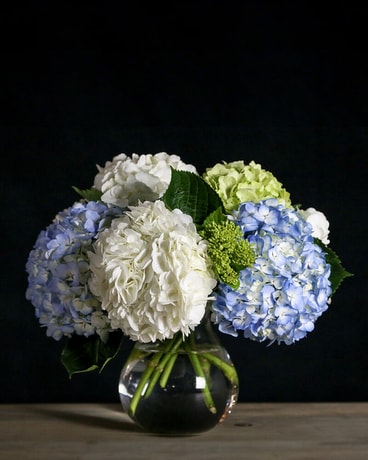 Hydrangea Bubble Flower Arrangement