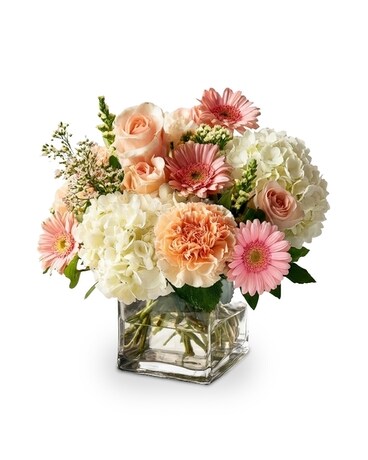 Baby In Bloom (Boy) in Fort Worth TX - TCU Florist & Flower Delivery