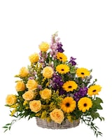 Premium size,  inches height and  inches wide.