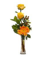 Premium size,  inches height and  inches wide.