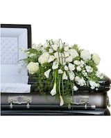 Premium size,  inches height and  inches wide.