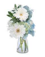 Deluxe size,  inches height and  inches wide.