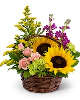 Deluxe size,  inches height and  inches wide.