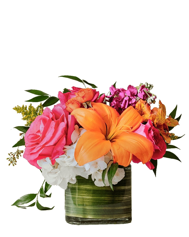 Honey Bee in Altoona PA - Peterman's Florist & Flower Delivery