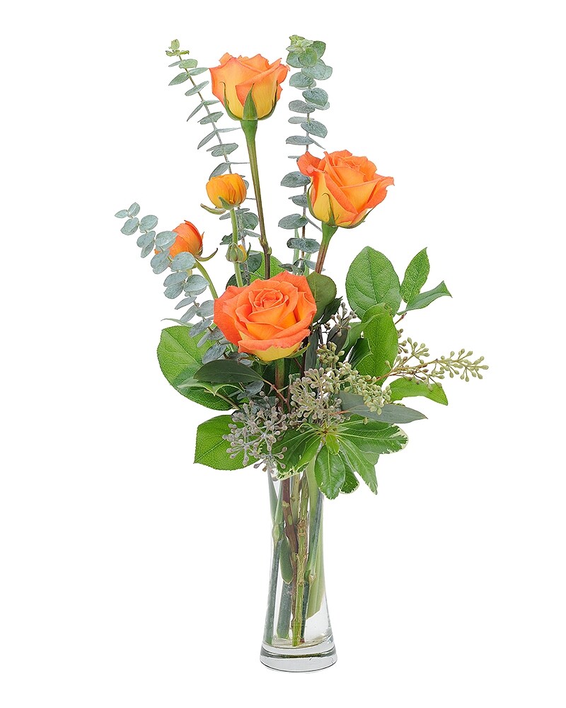 Tangerine Twist in Springfield OH - Schneider's Florist