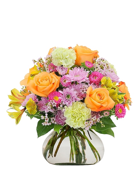 Standard delivery 29 in stock at Ashburn Check nearby stores Standard delivery 29 in stock at Ashburn Check nearby stores