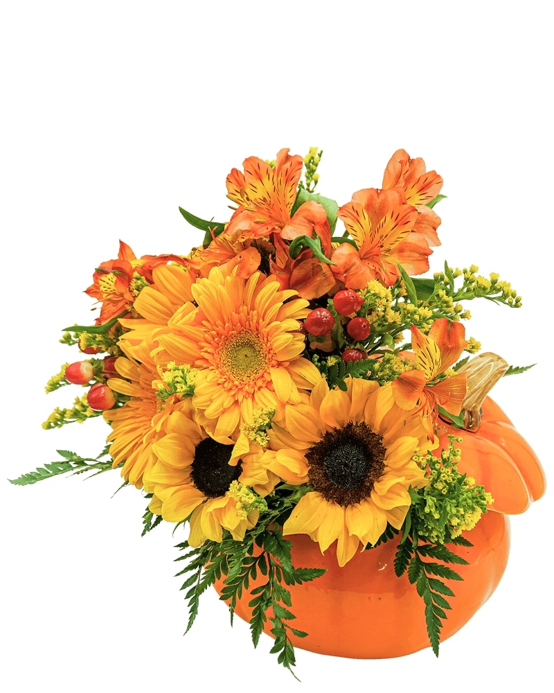 Pumpkin Daze in Rochester NY - Fioravanti Florist