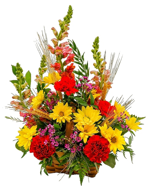 The Shores Main Floral in Sunshine
