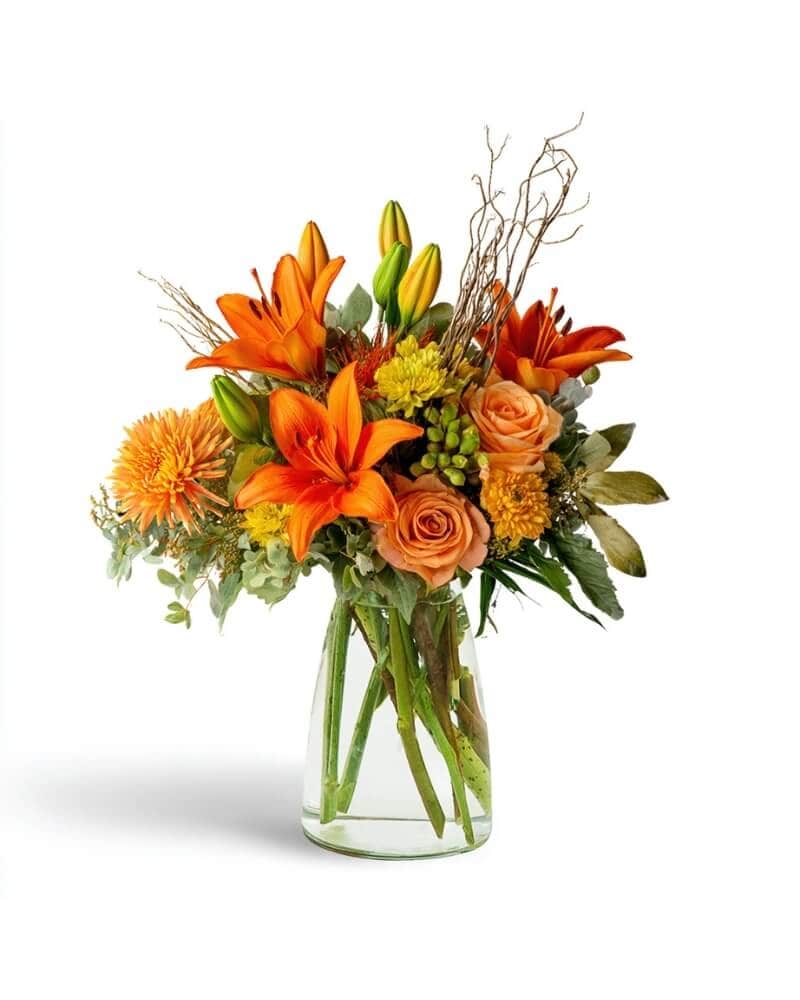 Autumn's Embrace in Allentown PA