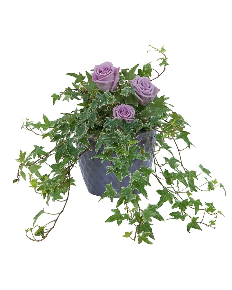 sku1440098.jpg?1636572174881