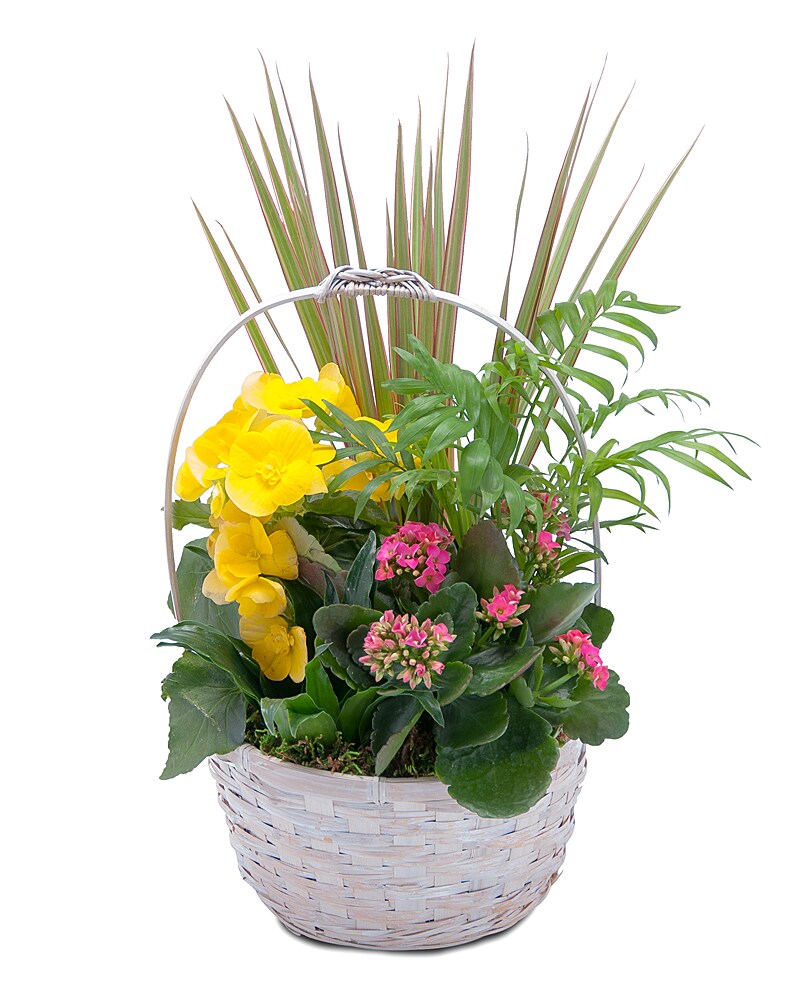Bloomin' Sunshine Days Basket in Escondido CA Rosemary Duff Florist