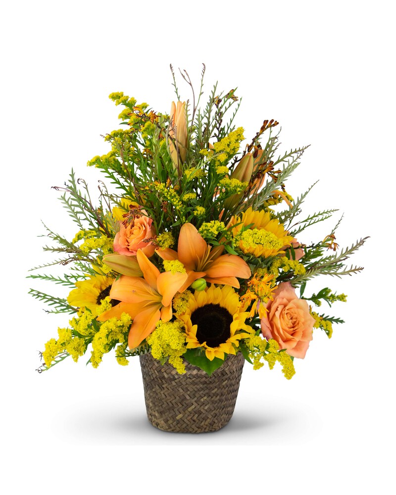 Fall Harvest Basket in Allentown PA - Phoebe Floral Shop
