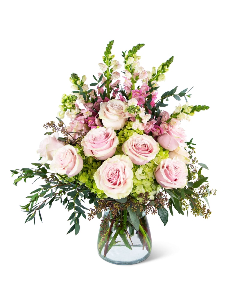 Dreamy Roses Supreme in Springfield OH - Schneider's Florist